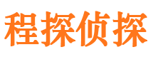 城子河侦探公司